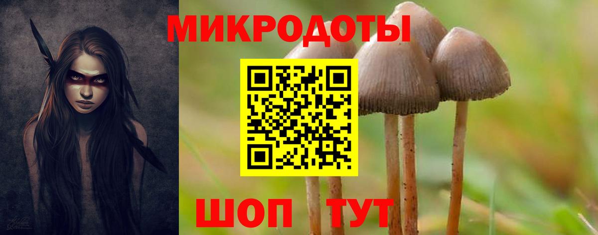 Псилоцибиновые грибы прущие грибы Чапаевск